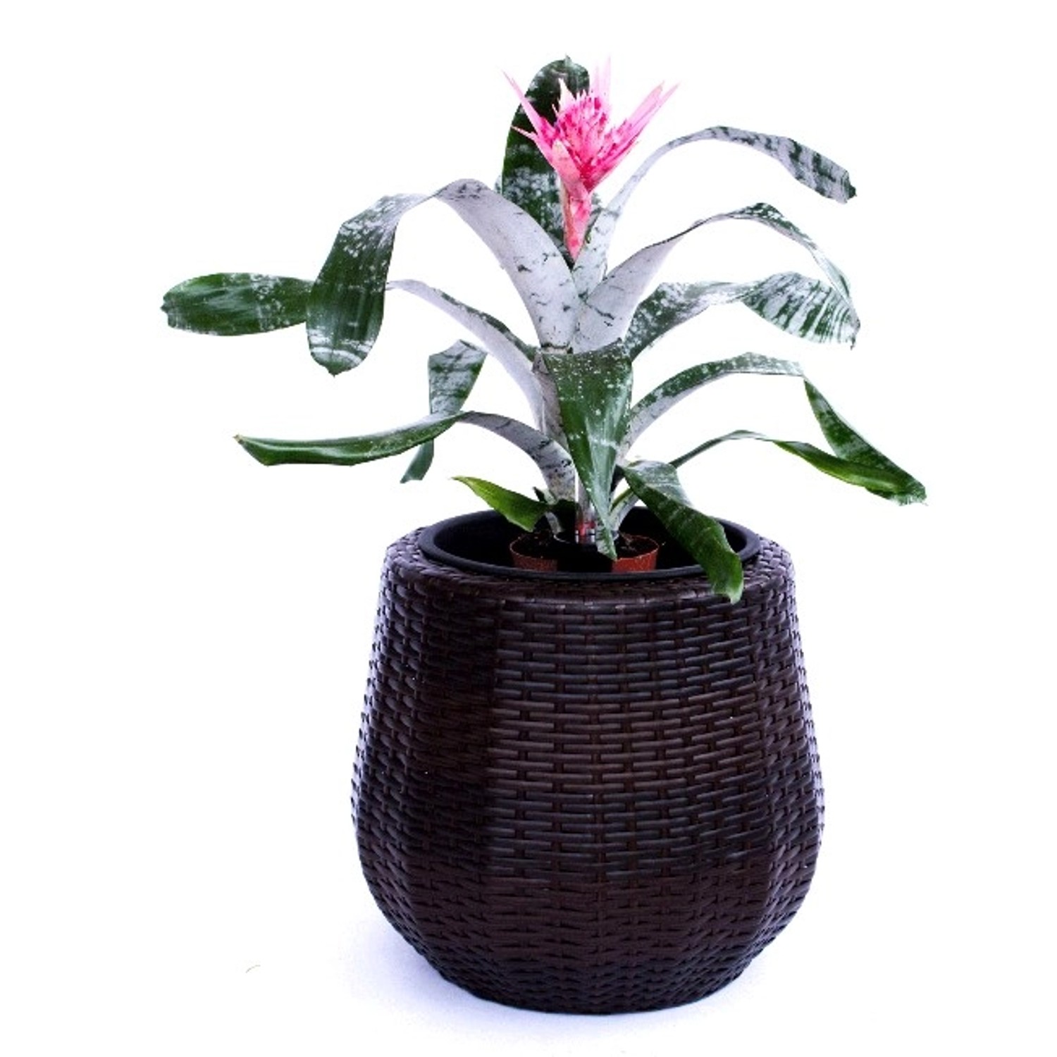 Elegant Einrichten Pflanzkübel Polyrattan Rund-Konisch D52xH44cm Coffee-Bra günstig online kaufen