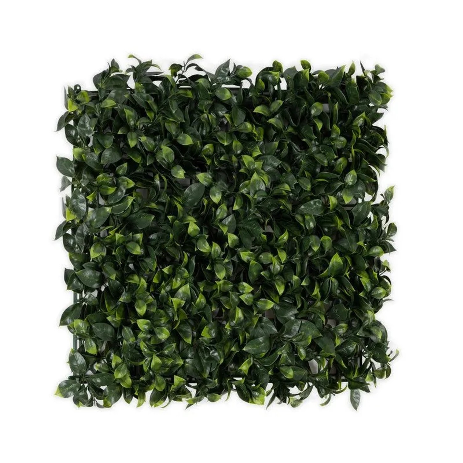 KARAT Pflanzenwand Gardenia Kunstpflanze zur Dekoration 50 x 50 cm