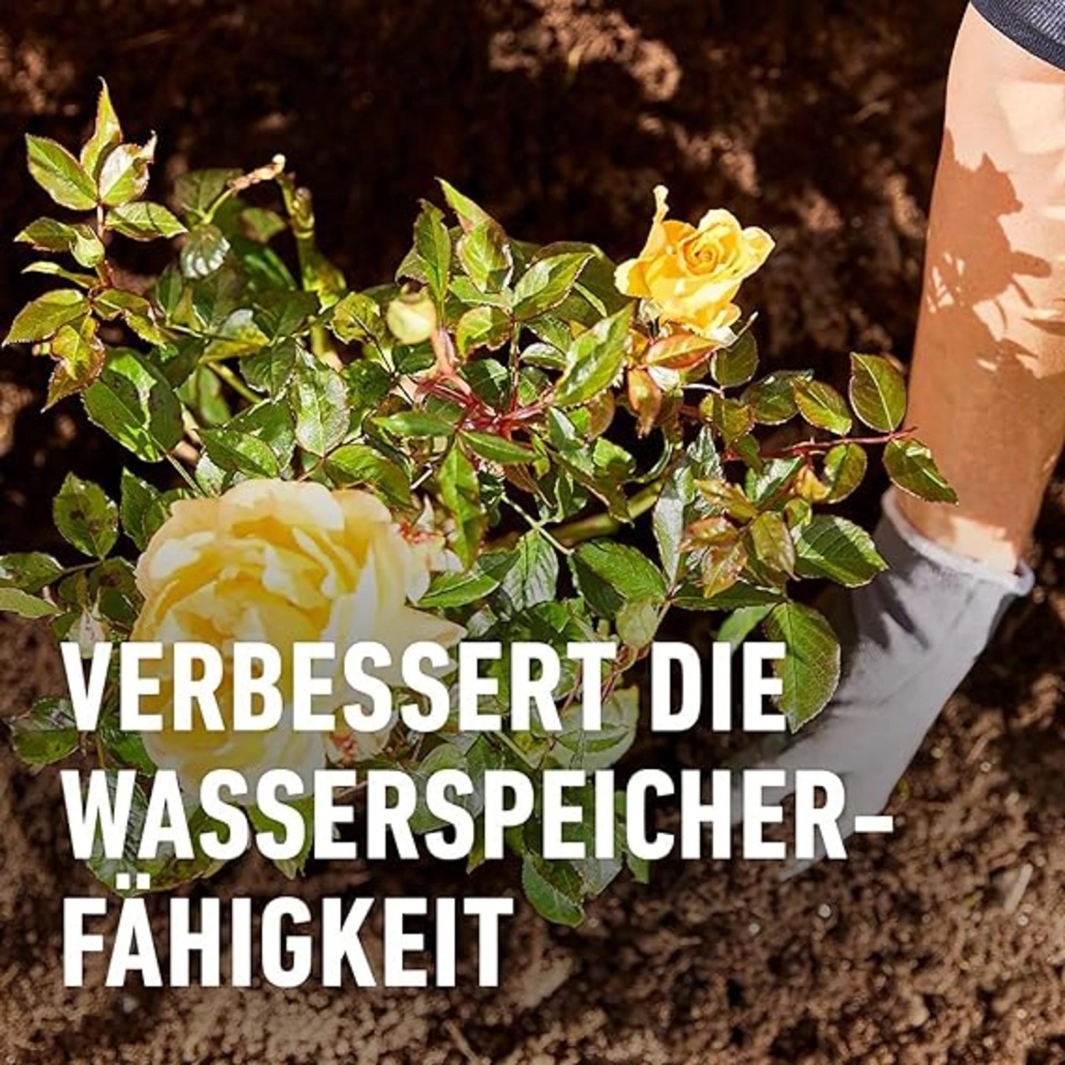 Compo Wurzel-Turbo 50 g_9