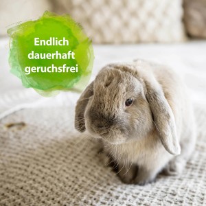 Graues Zwergkaninchen, Text "Endlich dauerhaft geruchsfrei". Bactador Geruchsentferner für Nagerkäfige.