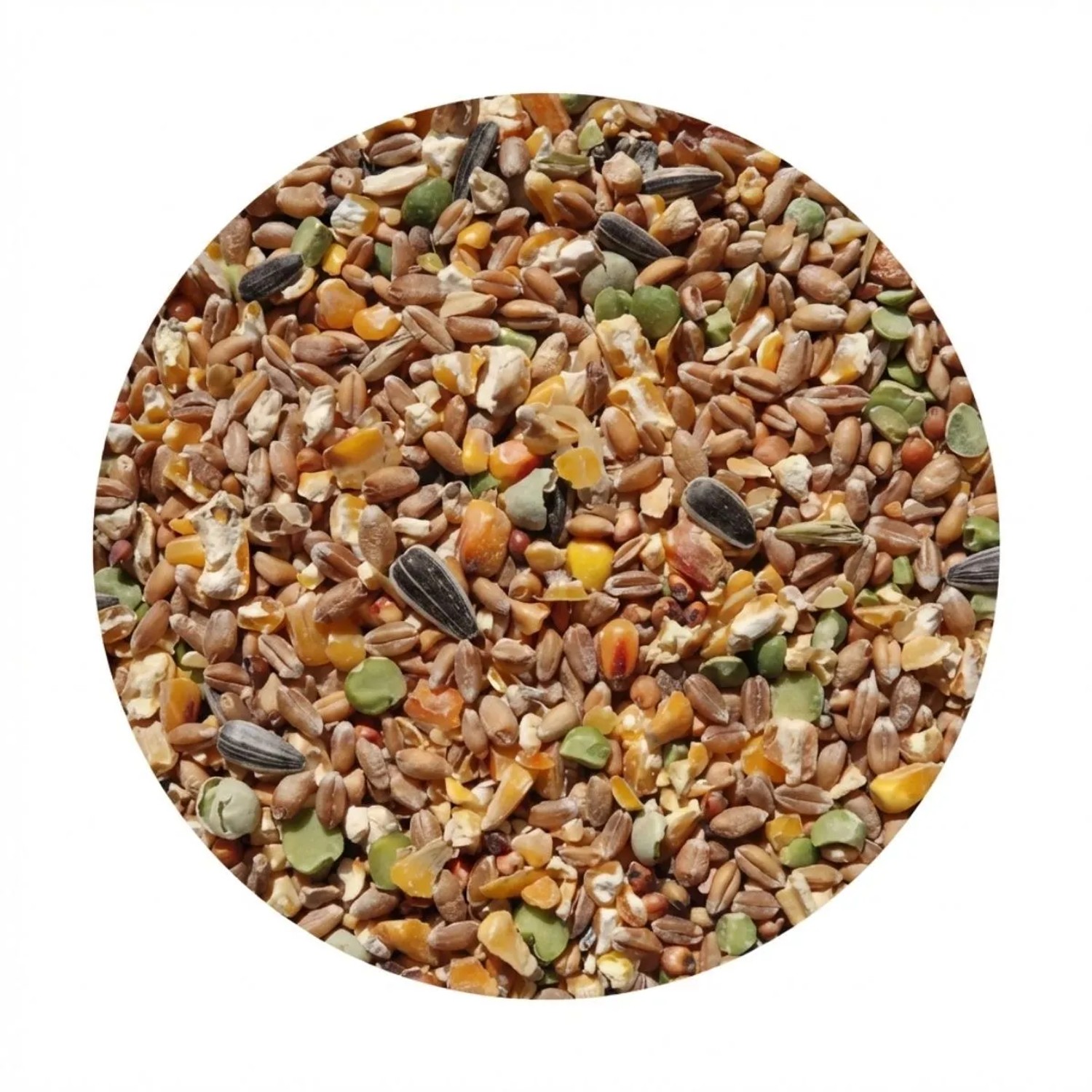 Klasebo HÜHnerfutter KÖRnerfutter 25 kg für HÜHner GÄNse Enten