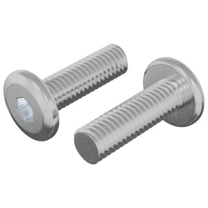 vidaXL Schraube 2 Stk Silber 8 x 25 mm Stahl 864598