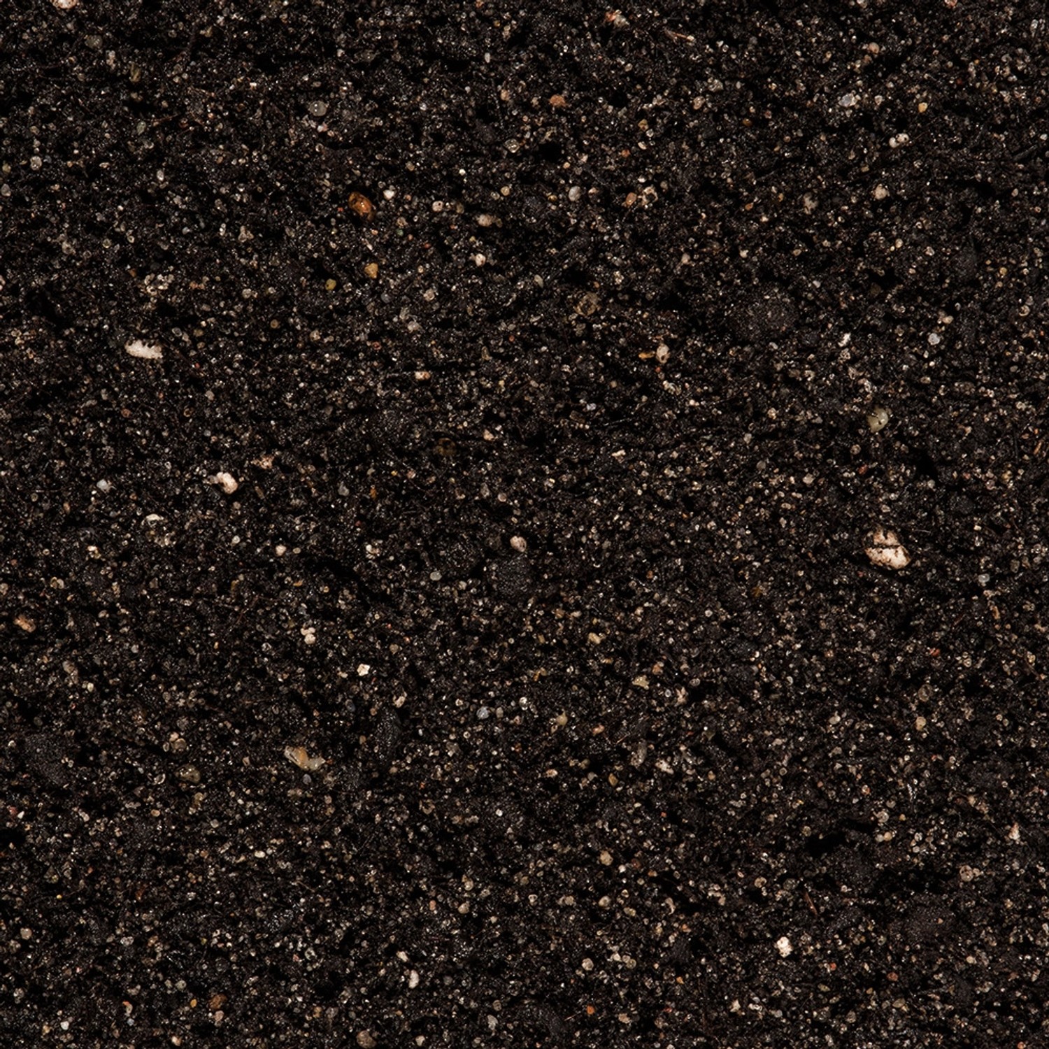 Nahaufnahme: Compo Cactea Kakteenerde, 5 l. Spezialerde für Kakteen und Sukkulenten.