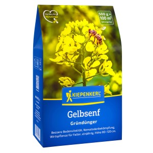 Kiepenkerl Gründünger Gelbsenf, 500g Packung mit blühender Pflanze und Biene.