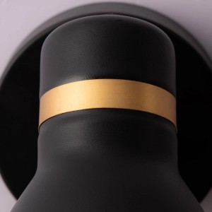 ARTE LAMP Wandleuchte in Schwarz/Gold für Flur & Innenräume.