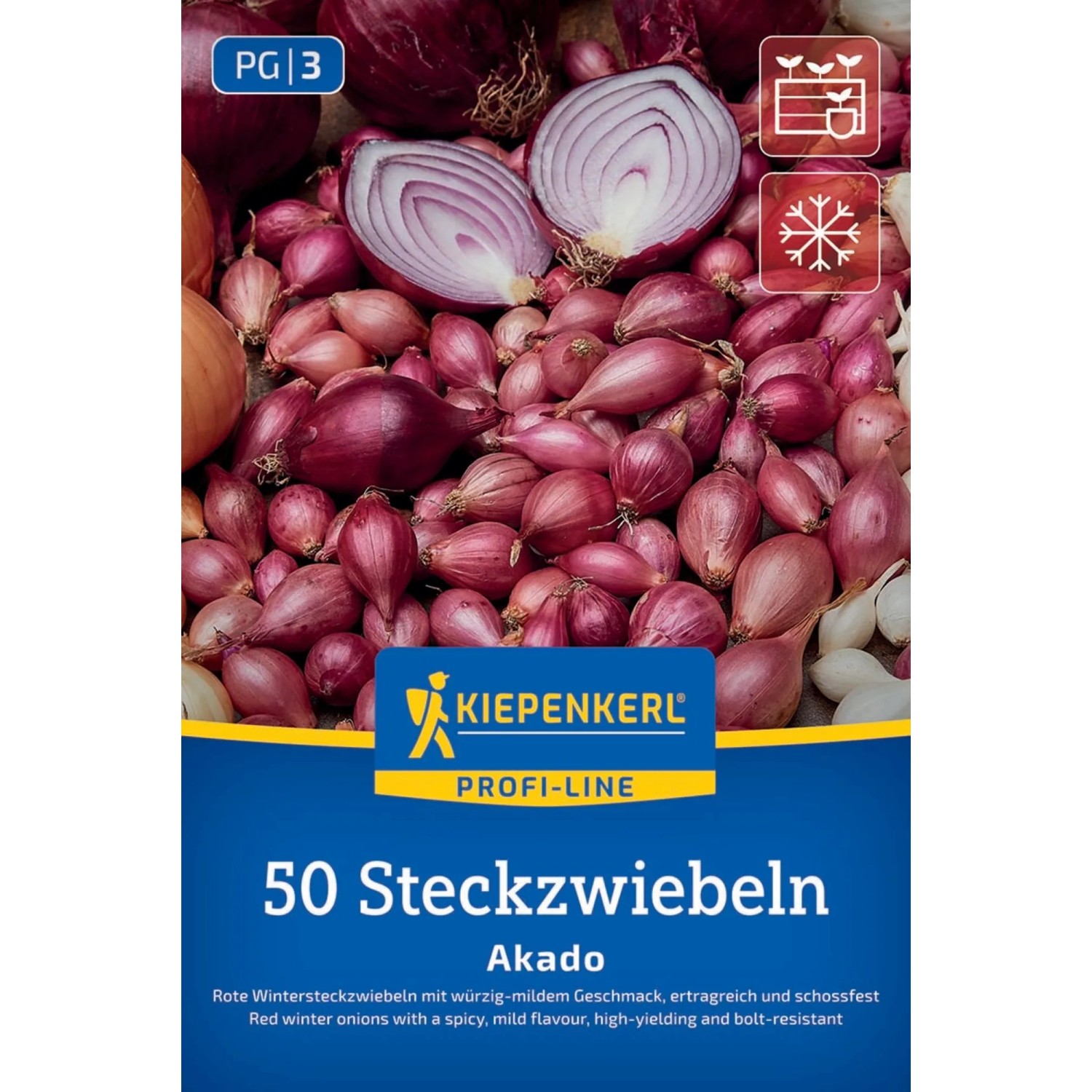 Kiepenkerl Steckzwiebeln Wintersteckzwiebel Akado - rot 50 Stück