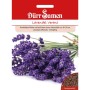 Dürr Samen Lavendel Verani Saatgut
