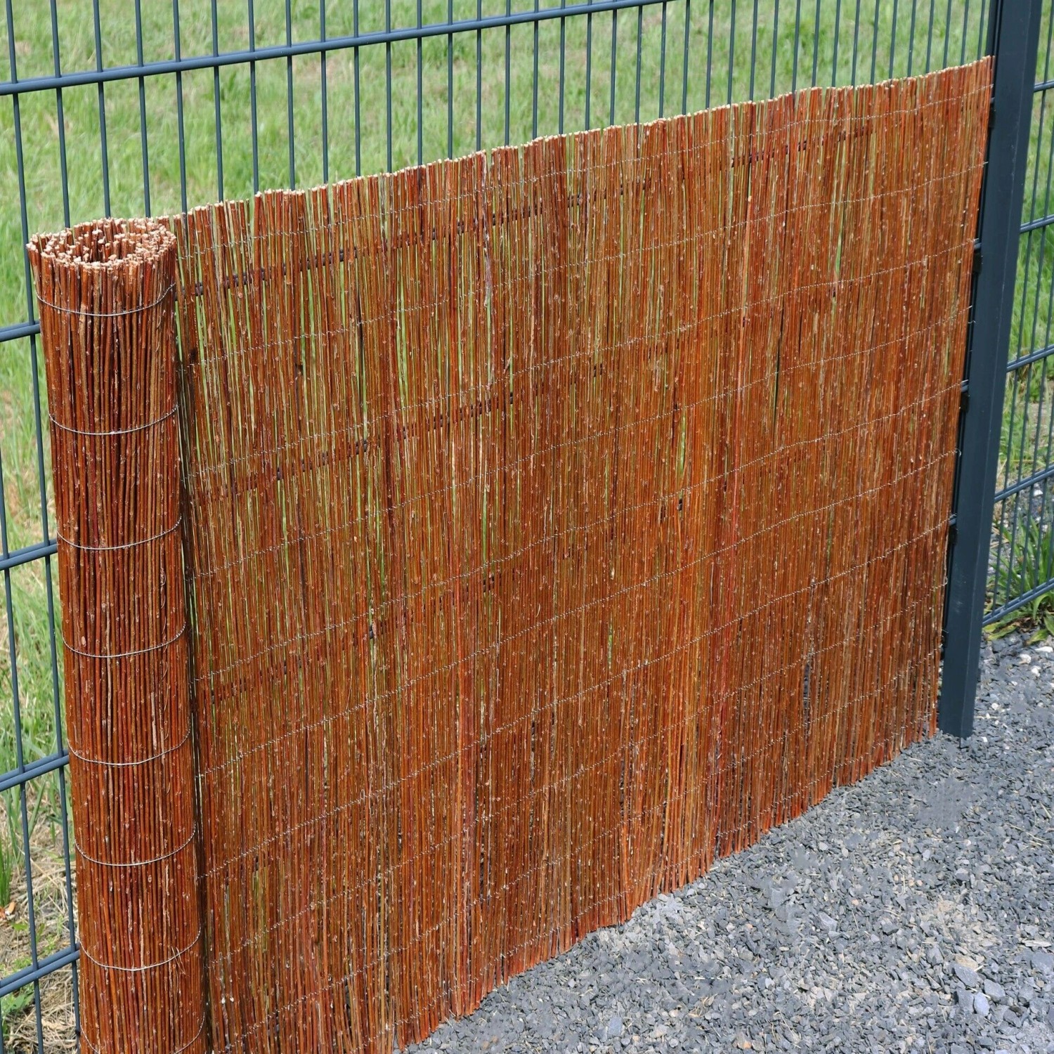 Aquagart Weidenmatte, 150cm hoch, als Sichtschutz am Zaun, teilweise aufgerollt.