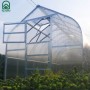 Klasika Gewächshaus 20m² mit Polycarbonat, Tür offen und Dachfenster.