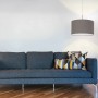 Moderne Eglo Hängeleuchte Pasteri, anthrazit-brauner Stoffschirm, Ø 38 cm, über Sofa im Wohnzimmer.