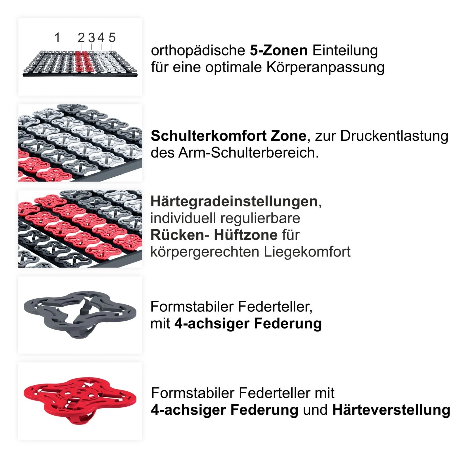 Matratzen Perfekt TerraMed T-Flex Teller-Lattenrost 80 x 200 cm Starr 5-Zonen 55 Tellermodule_3