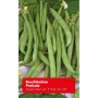 Frische, grüne Buschbohnen der Sorte Prelude, ideal für den Anbau im eigenen Garten.