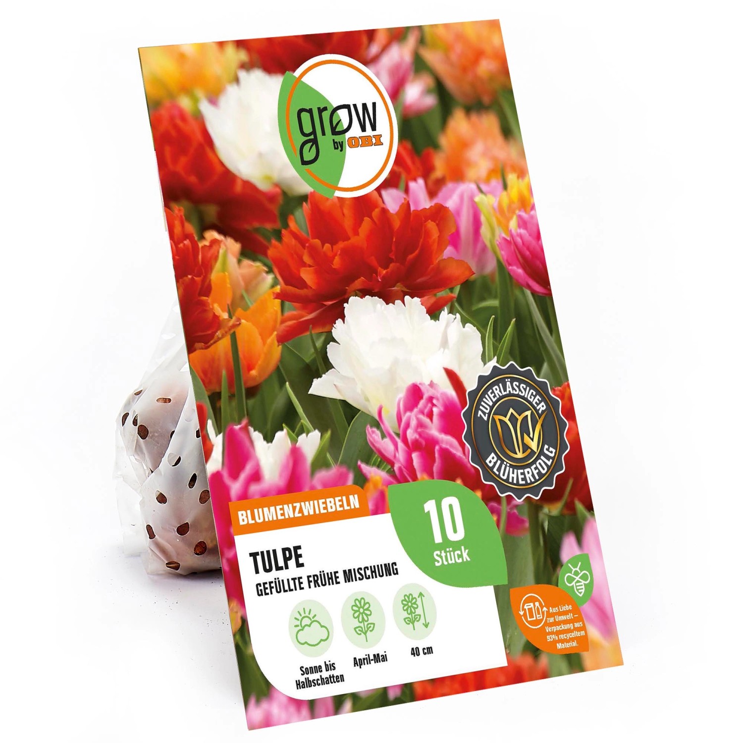 GROW by OBI Pfingstrosen-Tulpen Mischung 40 cm Tulipa günstig online kaufen