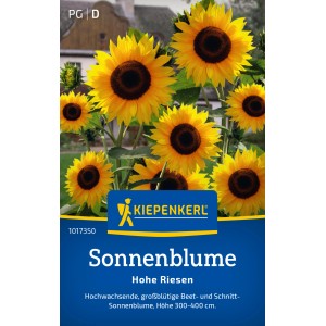 Kiepenkerl Sonnenblume Hohe Riesen, gelbe Blüten mit dunkler Mitte.