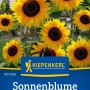 Kiepenkerl Sonnenblume Hohe Riesen, gelbe Blüten mit dunkler Mitte.