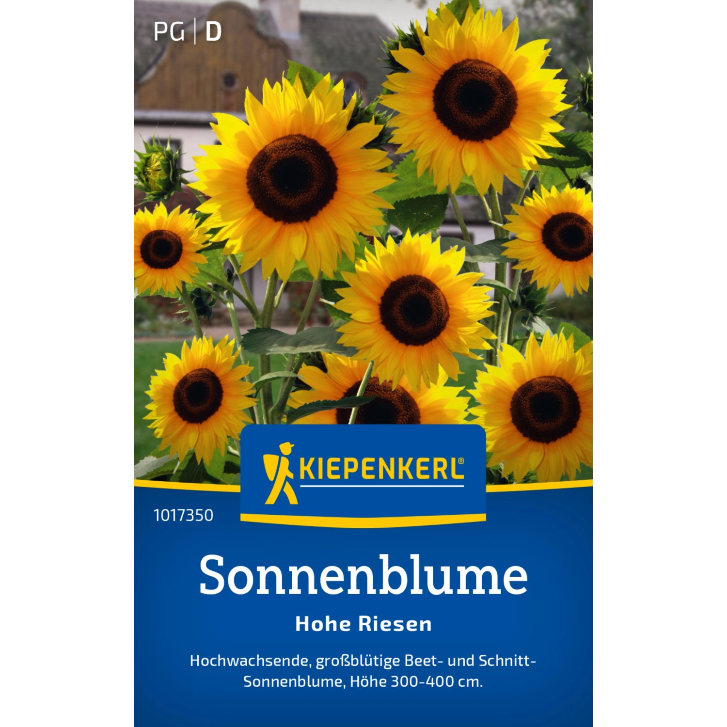 Kiepenkerl Sonnenblume Hohe Riesen Helianthus annuus günstig online kaufen