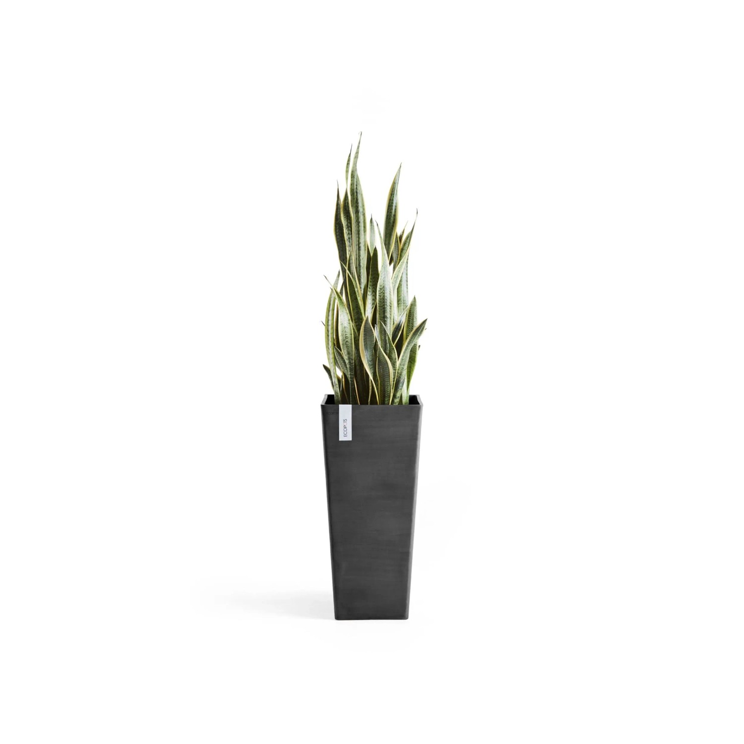 Ecopot Pflanztopf hoch Rotterdam Dunkelgrau 70 cm kaufen bei OBI