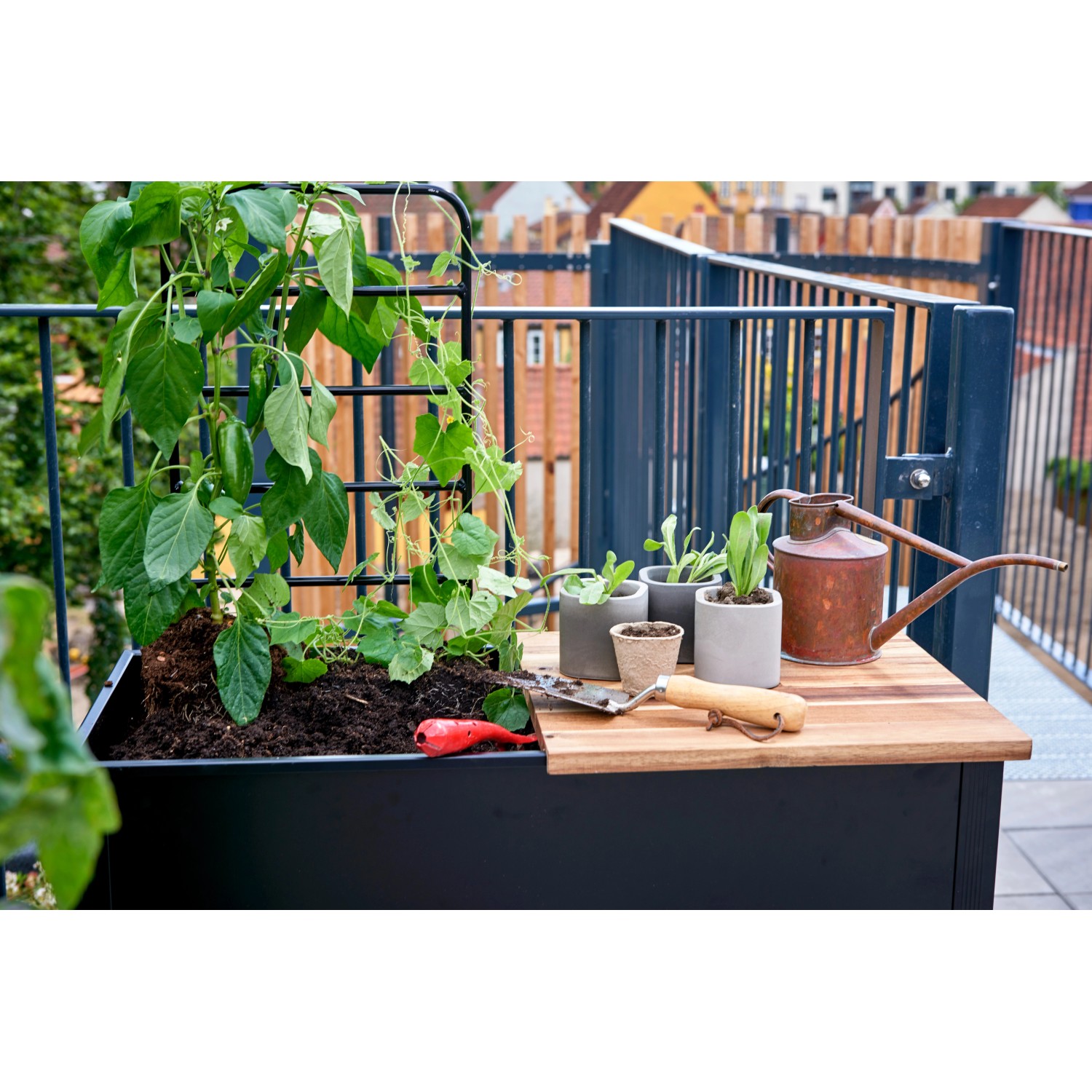 Juliana Urban Vertical Gewächshaus mit Pflanzen, Rankgitter, Gießkanne und Gartengeräten auf Balkon.