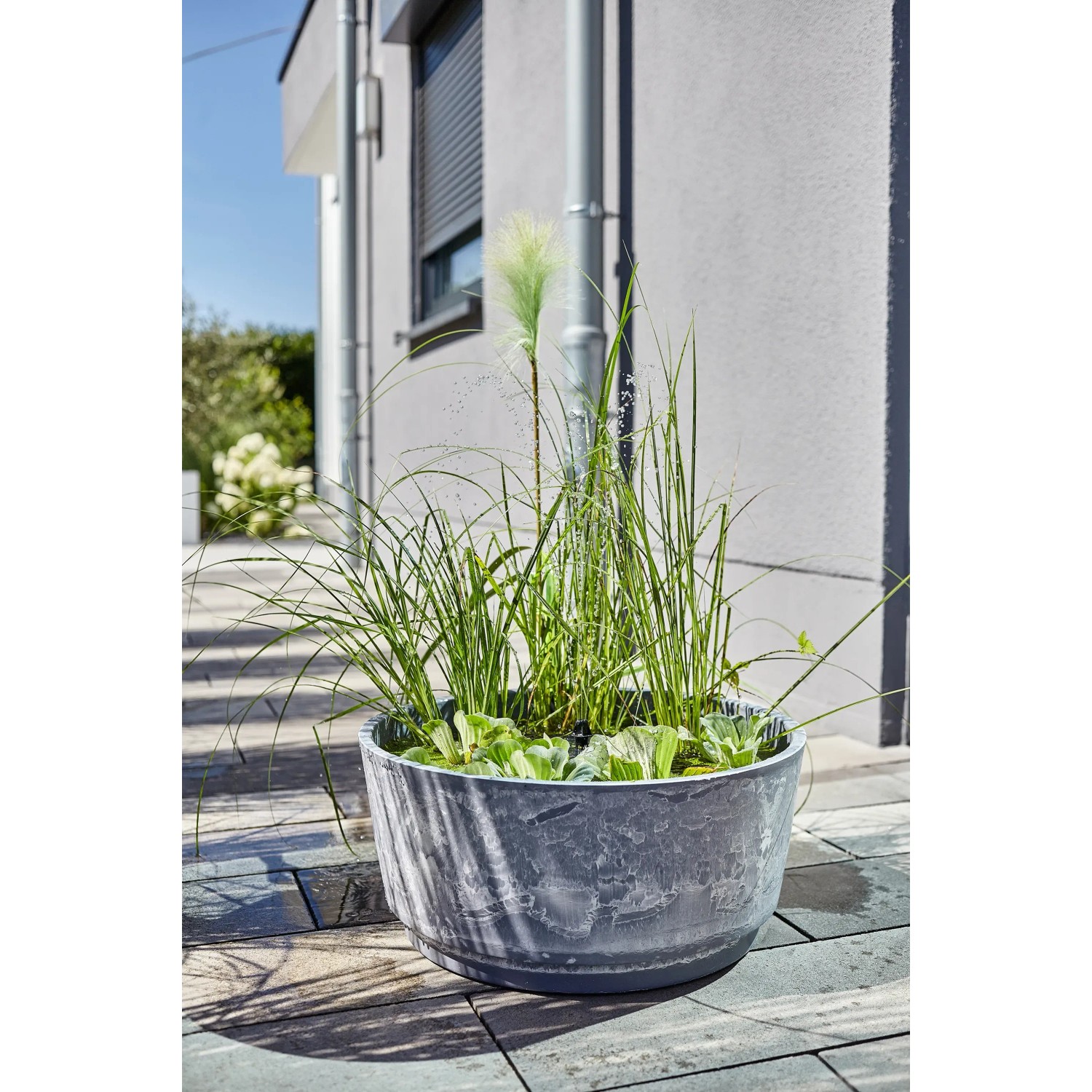 Heissner Solar-Wassergarten Aquatopia mit Wasserpflanzen und Gräsern im grauen Pflanzgefäß.
