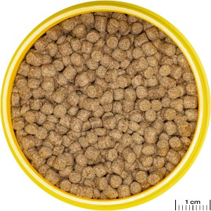 Jbl Pronovo Lotl Grano M, Hauptfutter für Axolotl, Granulat in gelber Dose.