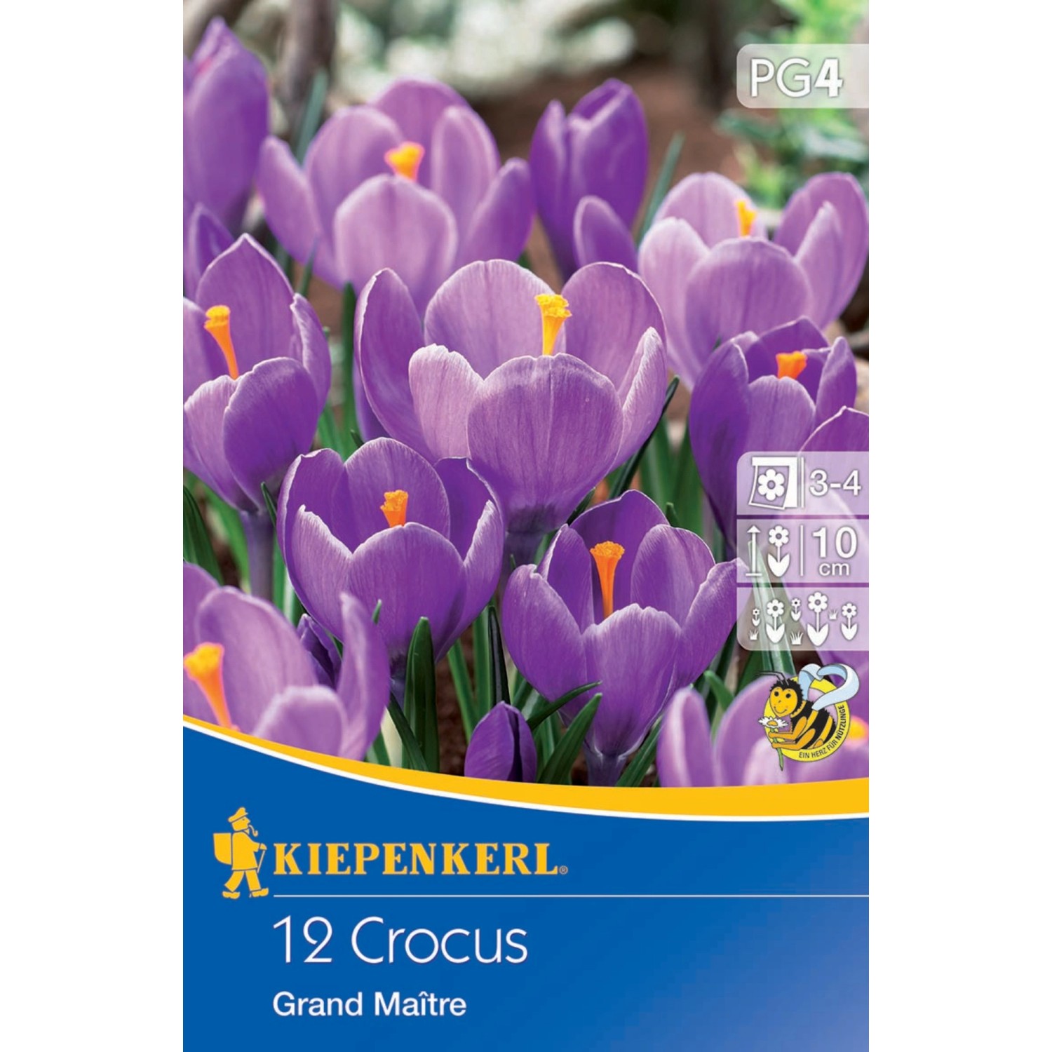 Kiepenkerl Gro Blumiger Krokus Grand Maitre Blau St Ck Kaufen Bei Obi