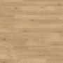 Kaindl Laminatboden CMI 6 mm Eiche Levi, helle Holzoptik, fugenlos.