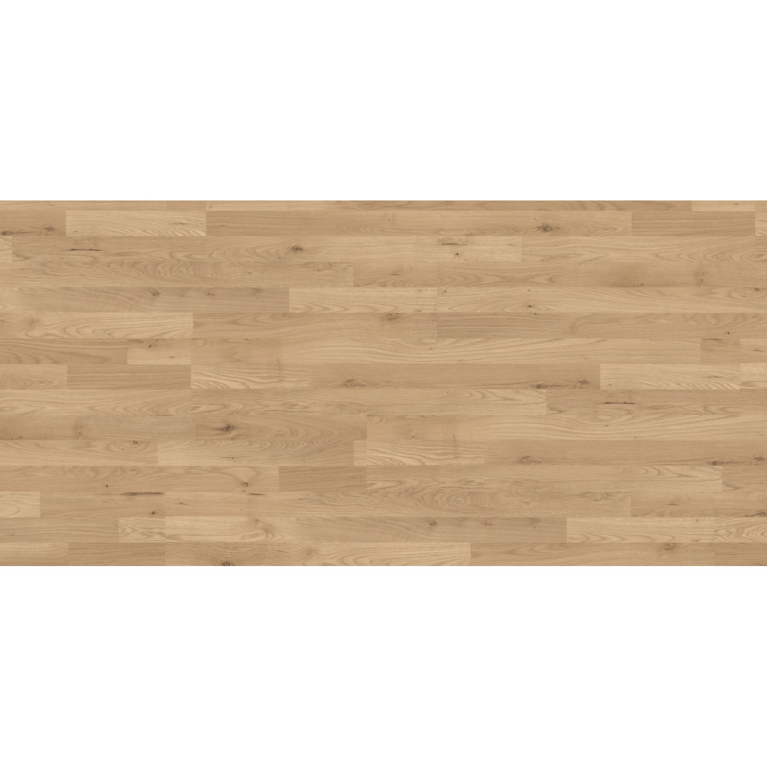 Kaindl Laminat 6 mm Eiche Trevi