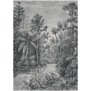 Schwarz-weiße Dschungel Fototapete für tropisches Flair im Raum.