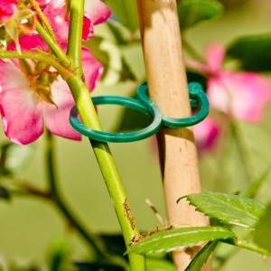 Windhager Ringbinder in Grün fixieren Pflanze an Stab. Zubehör für Hochbeete.