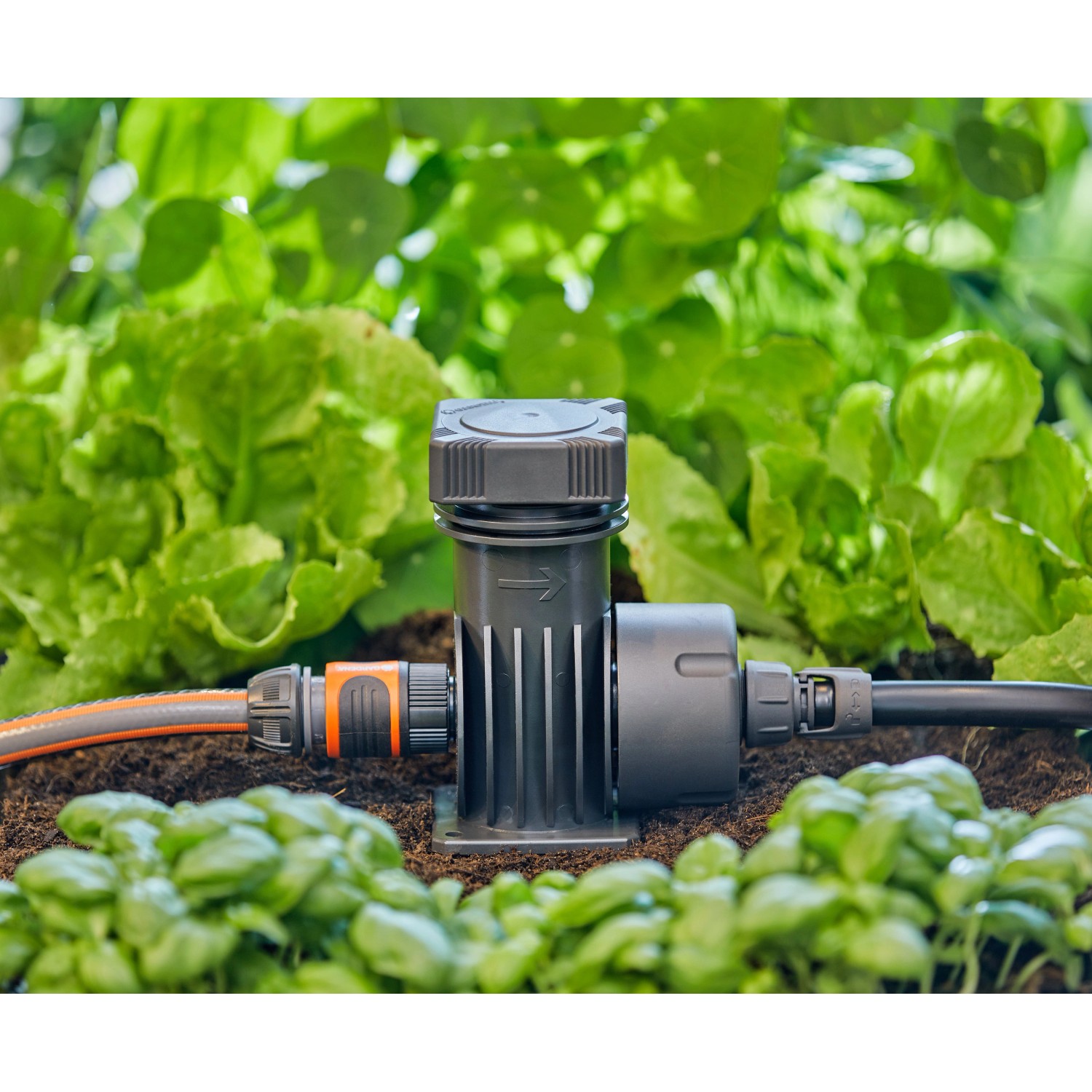Gardena Hahn-Anschluss für Micro-Drip-System mit Schlauch im Beet.