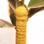 Bellissa Kokosstab 80cm als Rankhilfe für Pflanzen im Garten oder als Stütze im Topf.