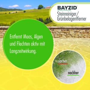 Bayzid Steinreiniger/Grünbelagentferner: Vorher-Nachher-Effekt gegen Moos und Algen auf Stein.