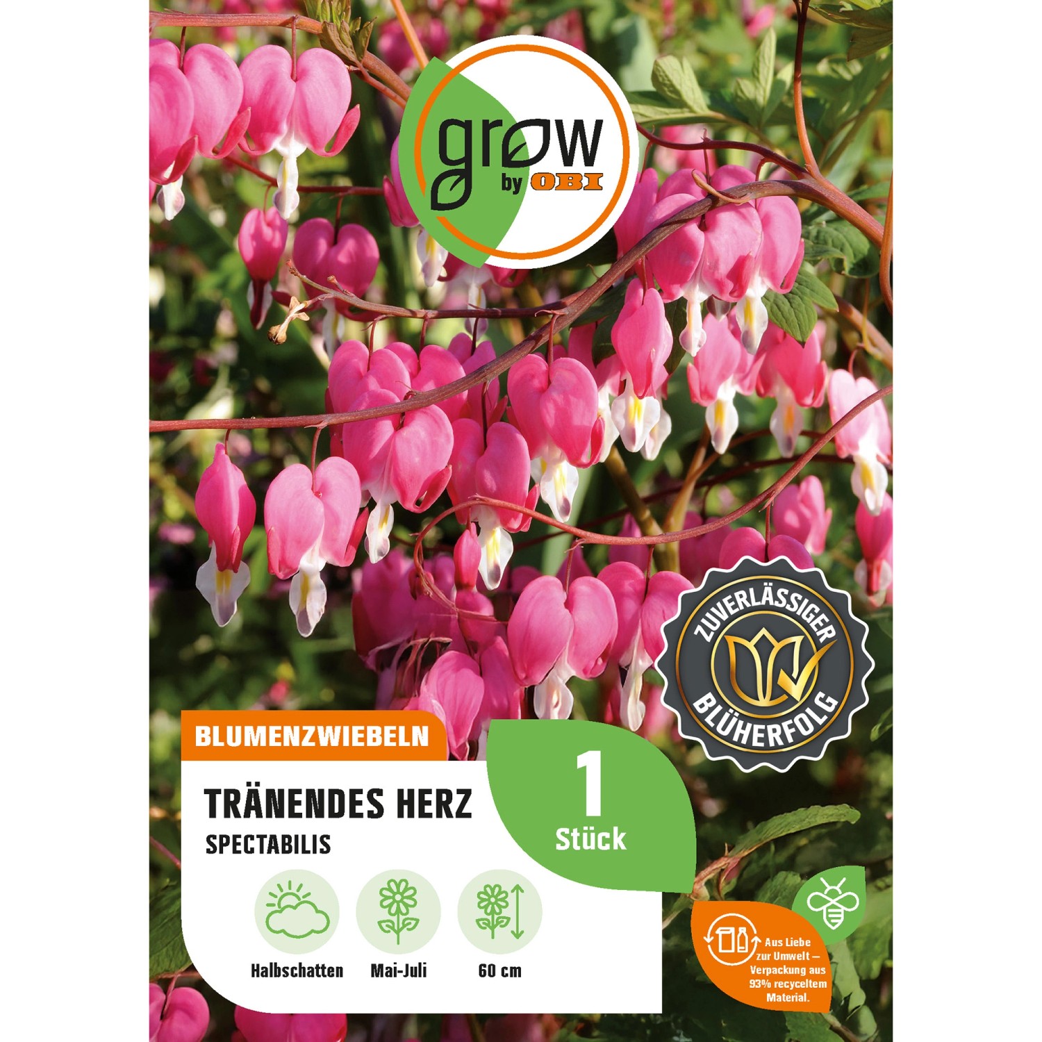 GROW by OBI Tränendes Herz Dicentra spectabilis Höhe ca. 60 cm günstig online kaufen