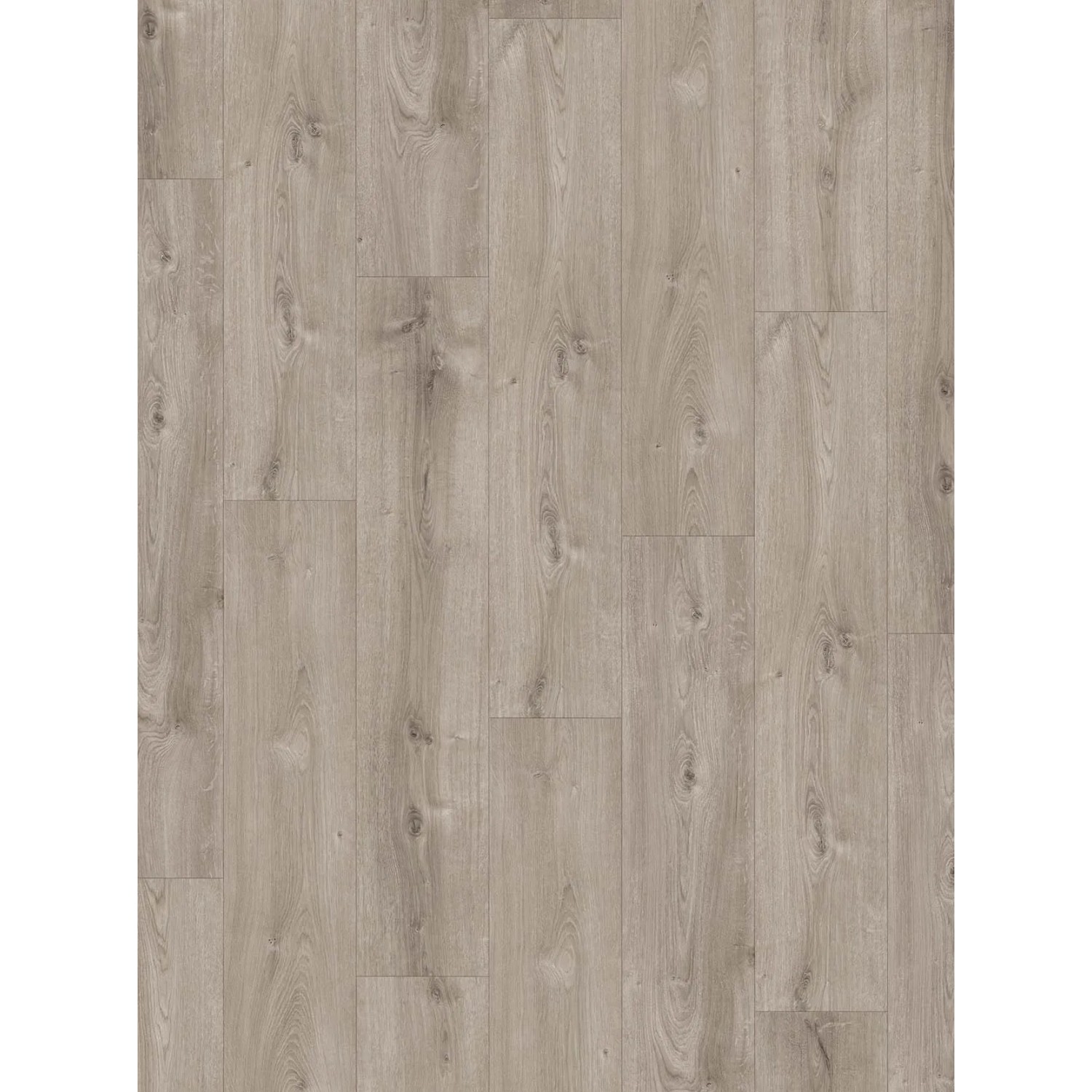 Parador Laminat Basic 600 Eiche Valere gekälkt grau, 8mm stark, wasserfest.