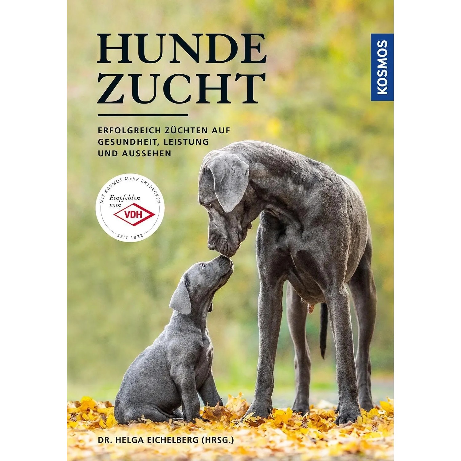 Hundezucht