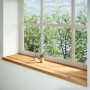 vidaXL Fensterbänke 2 Stk Hellbraun 160x40x2 cm Massivholz Eiche 4009164_2
