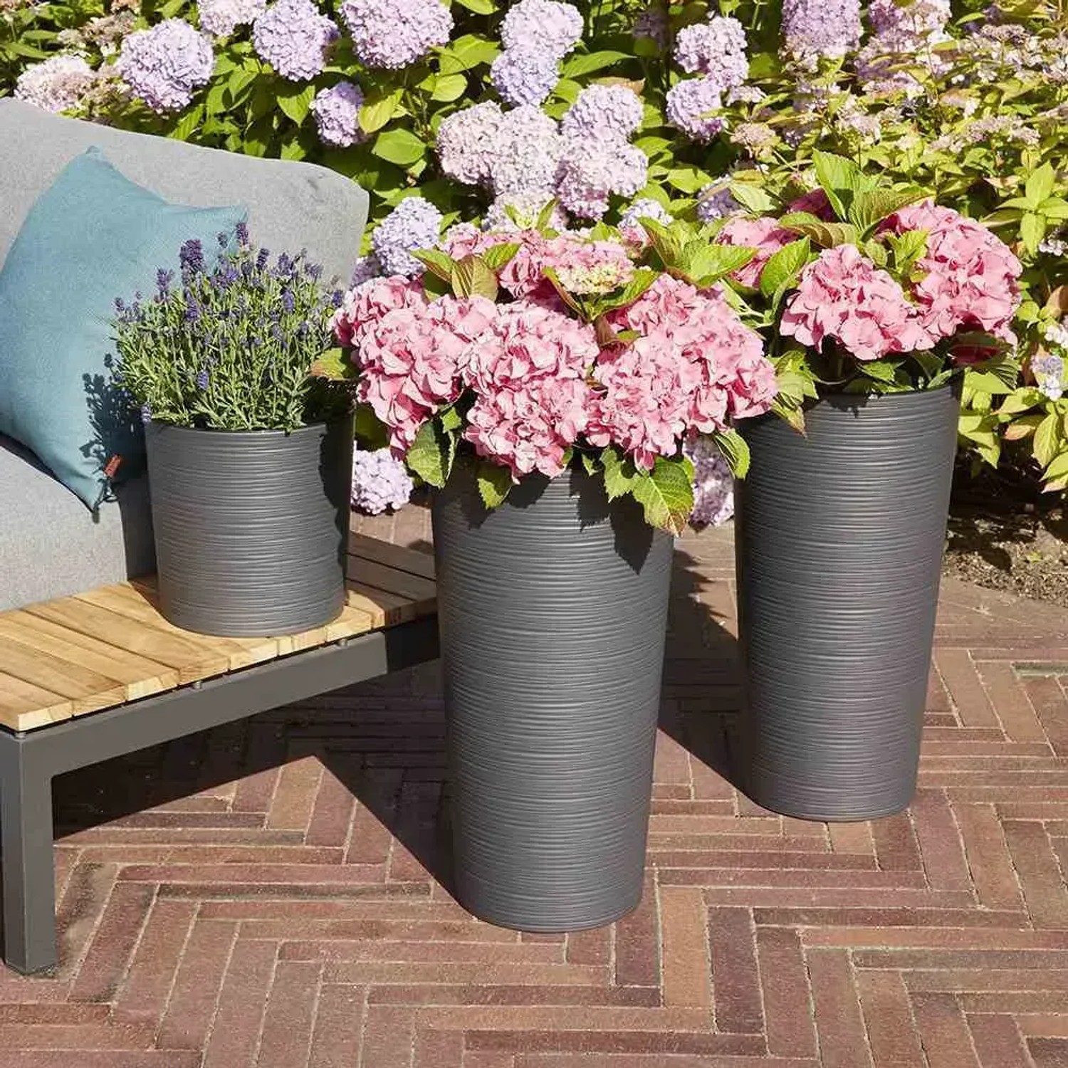 Siena Garden Pflanzsäule Locon Graphit, 25x46,5 cm, mit Rillenoptik und Bepflanzung.