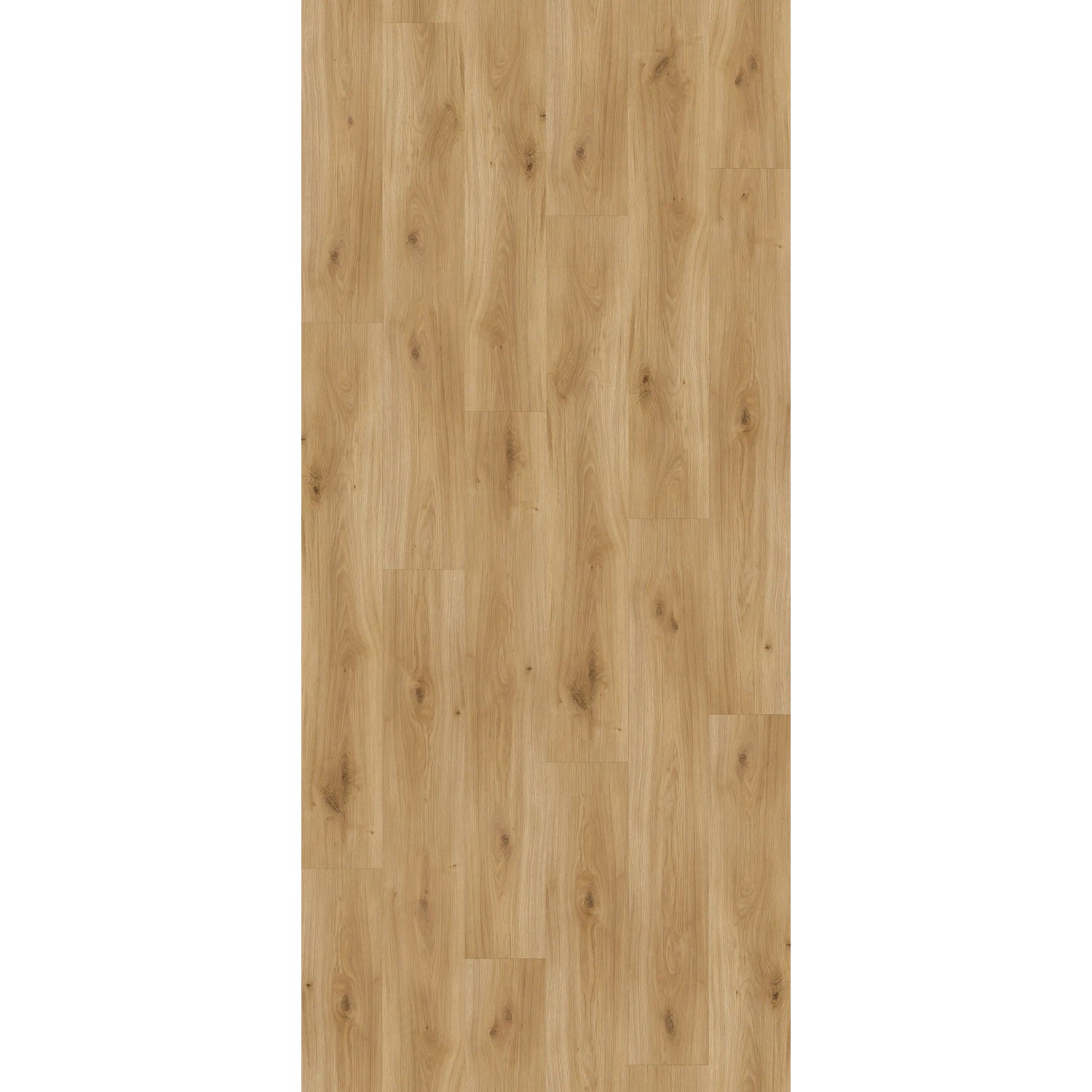 Parador Laminat Basic 400, Eiche Horizont Natur, wasserfest, 8mm stark.