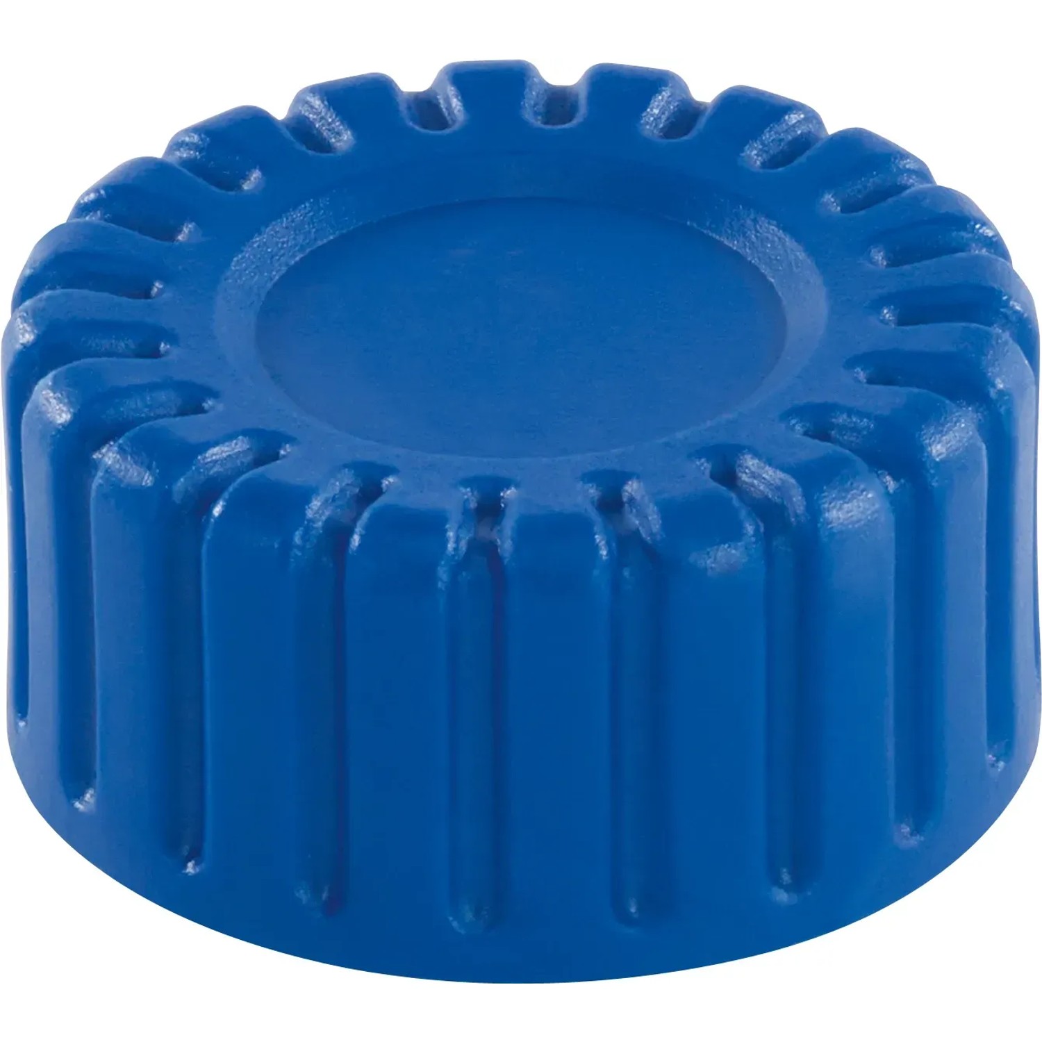 Blaue Ablass-Schraube aus Kunststoff für Gartenpumpen & Hauswasserwerke.