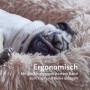 Mops schläft entspannt im anthrazitfarbenen Bestlivings Fluffy Hundebett.