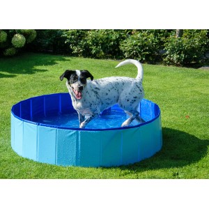 Blauer, runder Dobar Hundepool Gr. M aus Kunststoff mit Hund im Garten.