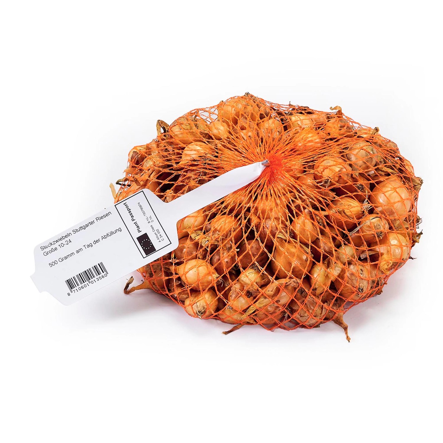 Steckzwiebel 500 g Allium cepa Stuttgarter Riesen günstig online kaufen