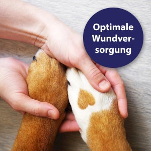 Hundepfote wird mit Canosept Wundspray gepflegt. Optimale Wundversorgung für Hunde.