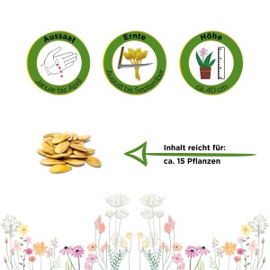 Samen der Zuckermelone Charentais: Aussaat, Erntezeit und Pflanzenhöhe im Überblick.