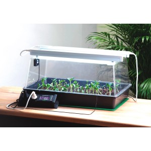 Romberg Heizmatte XXL im Zimmergewächshaus mit Pflanzenanzucht und Thermostat.