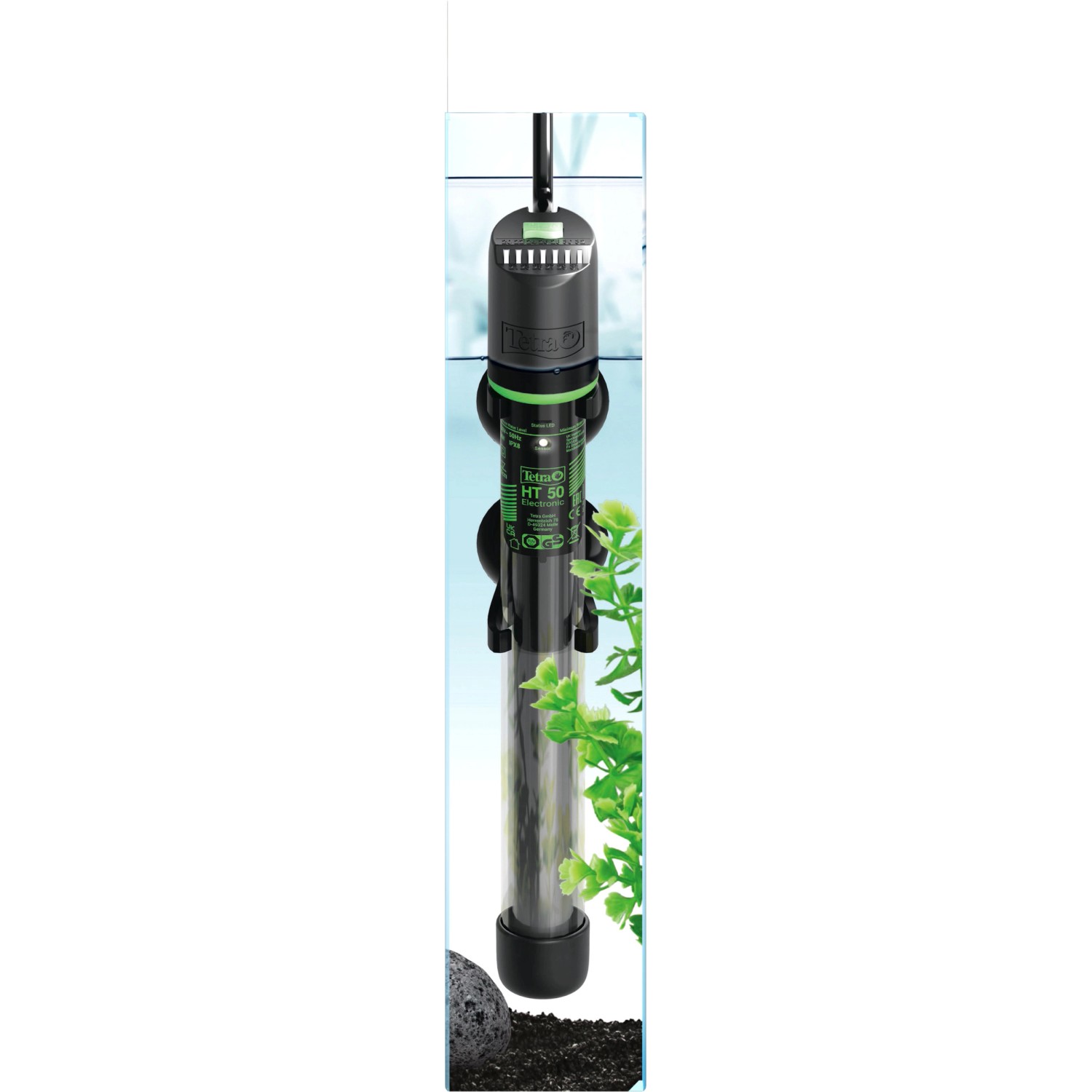 Tetra Aquarienheizer HT Heater Electronic 50 W im Aquarium mit Pflanze.