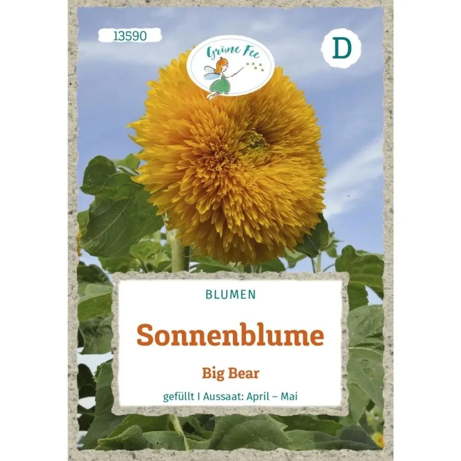 Grüne Fee Sonnenblume Big Bear Saatgut
