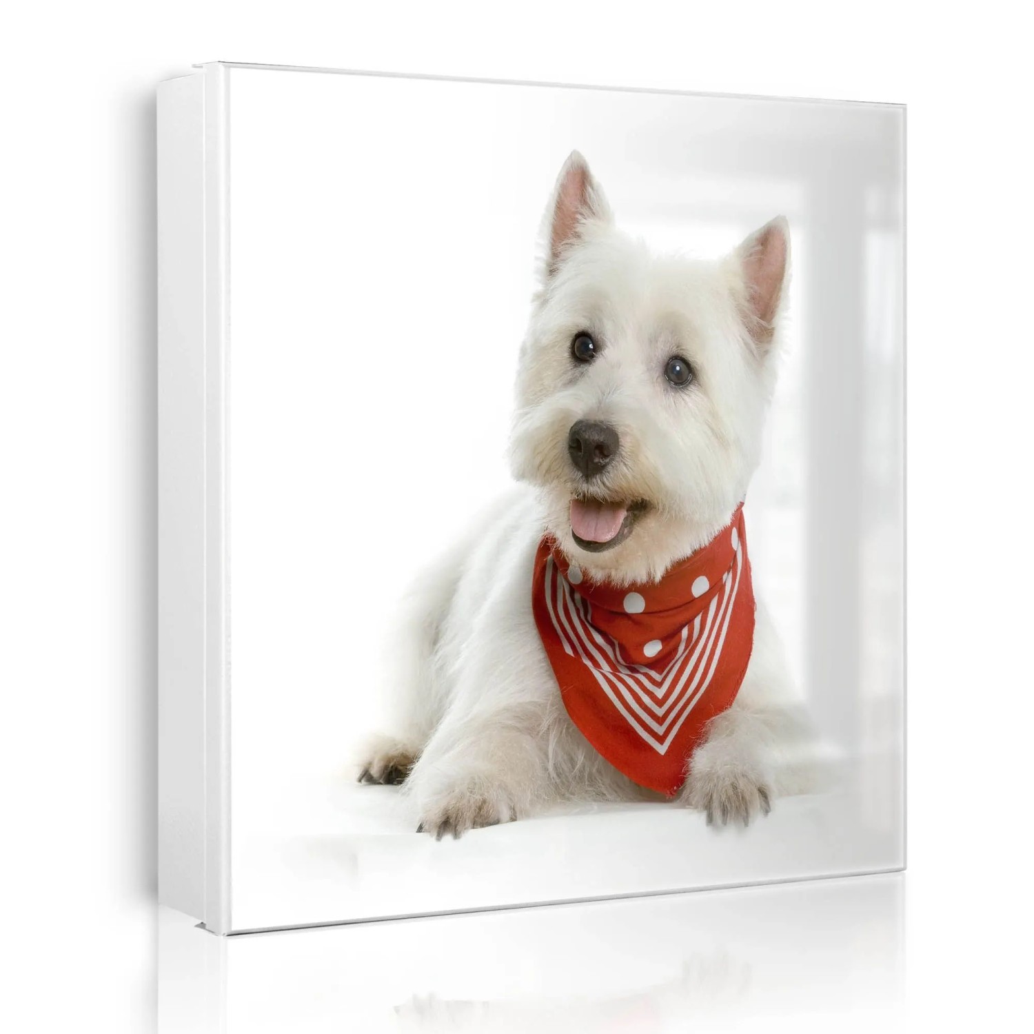Banjado Großer Schlüsselkasten Metall 30x30cm Weiß Scharnier Links 50 Haken Beschreibbar Magnetisch Motiv Westie