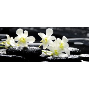 Glasbild: Drei gelbe Blüten auf schwarzen Steinen mit Wassertropfen, 80x30 cm.