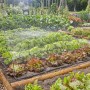 Gardena Tropfbewässerung im Gemüsebeet: Bewässerungssystem für Blumen und Gemüse bis 40 m².